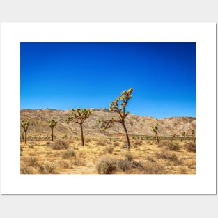 Joshua Tree National Park, California Posters and Art